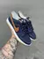 Nike Sb Dunk Low - Azul e Marrom