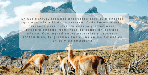 Carrusel 1