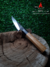 Mondador Ronin en internet
