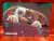 Gremlins - tienda online