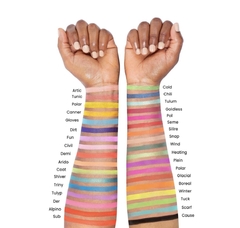 Paleta de sombras Ártica 35 tonos en internet