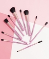 Kit de Brochas Popular Rose x10