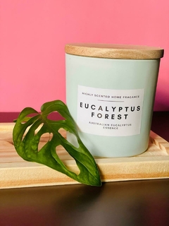 VELA AROMATICA DE EUCALYPTUS FOREST