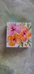 Imagen de mini jardines