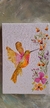 Colibri