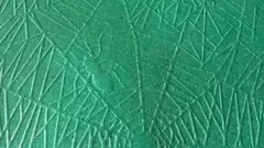PAPEL DE FORRAR ARAÑA ( VARIOS COLORES)