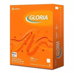 REPUESTO GLORIA T/RIV X 480 HR