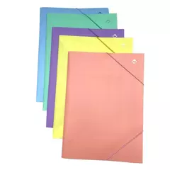 CARPETA 3 SOL.THE PELL PLAST.T/OFICIO