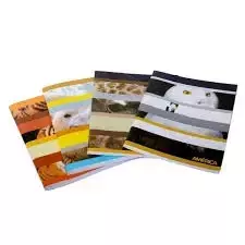 CUADERNO AMERICA T/FLEXIBLE X 24HR