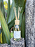 DAGV linea special moments - comprar online