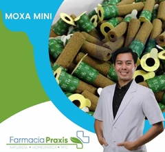 Moxa Mini