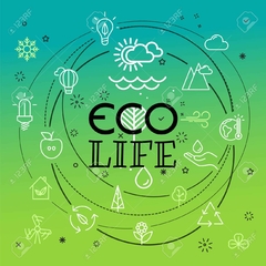 Taller - Vida Ecológica