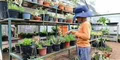 Taller - Veranos Ecológicos