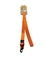 GUIA BRAVO MASCOTAS MODELO BRV-19239 TAMANHO 25MM X 120CM 20-35KG - comprar online
