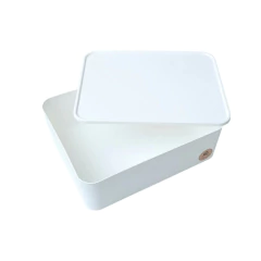Caja Nova Organizadora Con Tapa Plástica 31X24X10.5 cm - comprar online