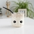 MATE GROOT - comprar online