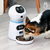 Máquina Pet de Alimentação, Inteligente, Controle Remoto, Timing, - comprar online