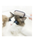 4 em 1 Escova Pet Grooming