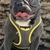 Imagen de arnes chaleco batman