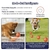 Pelota inteligente - Almacén de mascotas