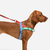 SofterWalk Harness Mellow - Almacén de mascotas