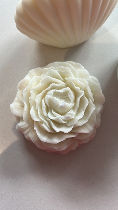 The Medium Peony - comprar online