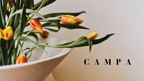 CAMPA