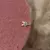 Piercing Fake Coelhinho Color