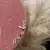 Brinco Earcuff com Piercing Fake Color