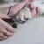 ALICATE CORTADOR DE UNHAS GRANDE PARA CÃES E GATOS - loja online