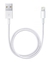 Carregador Turbo H'Maston Y24-2 Compatível Iphone 2 USB 5.1A 25W na internet