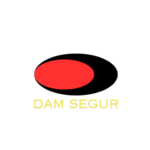 DamSegur