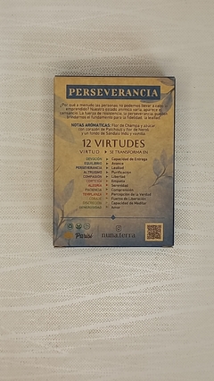 PERSEVERANCIA X 1 en internet