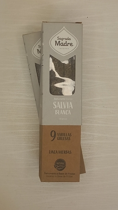 SALVIA BLANCA x 1