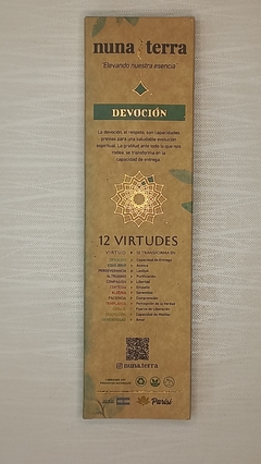 DEVOCION x 1 en internet