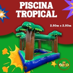 PISCINA TROPICAL C/ MOTOR - 2.80m x 2.80m