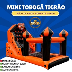 MINI TOBOGÃ DO TIGRÃO COM PISCINA E ARCO- C/ MOTOR - 5.00m x 2.50m