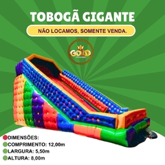 TOBOGÃ GIGANTE - C/ MOTOR- 12.00m x 5.50m x 8.00m