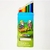LÁPIS DE COR WINNER C/12 CORES - comprar online
