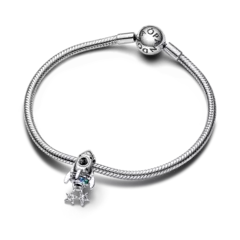 Charm Cohete en internet