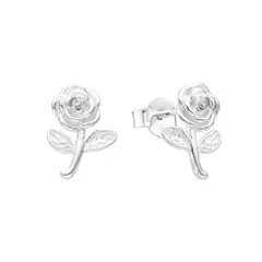 Aros Rosas