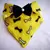 Bandana Soft Inverno ( 3 unidades) - MonPettit Lacos