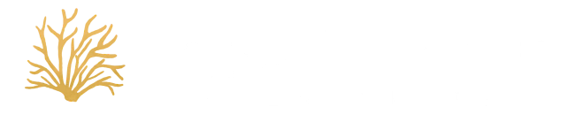 Angela Werneck Acessórios