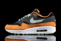 AIR MAX 1 UGLY DUCKLING HONEYDRAW