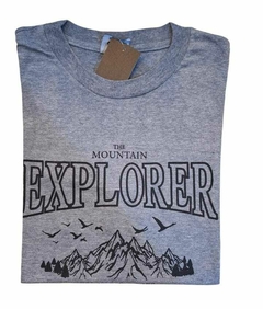 Remera Explorer gris