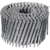 PREGO COIL LISO 3,10X80 6MIL