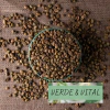 CAFE VERDE GRANO
