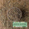 HIERBA AJENJO