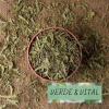 HIERBA CEDRON IMPORTADO