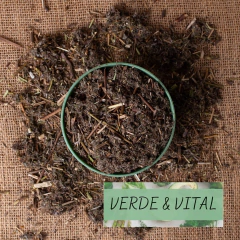 HIERBA MATICO